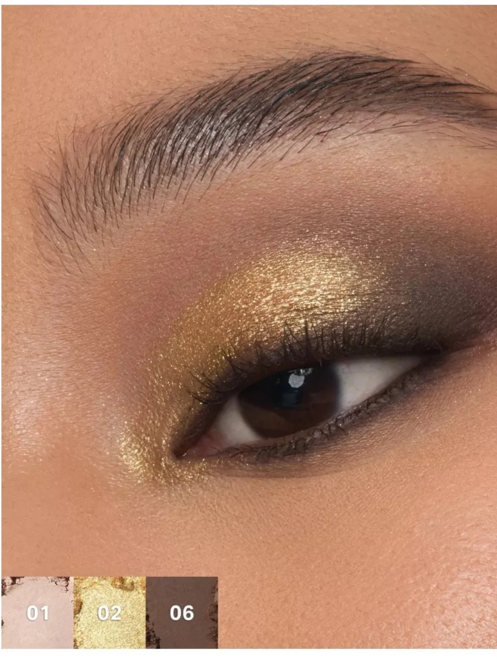 MORPHE CHROMAPLUS 6-PAN EYESHADOW PALETTE;—PYTHON CODE